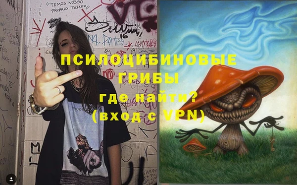прущая мука Верея
